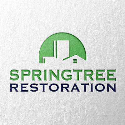 Springtree Restoration - Allen, TX