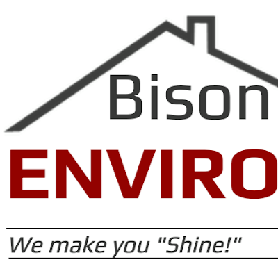 Bison Environmental