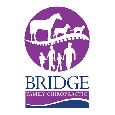 Bridge Family Chiropractic, Dr. Emily Puente