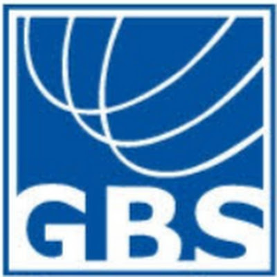 Small Business GBS Group, Inc in Carrollton TX