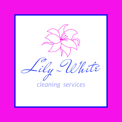 Small Business Lily-White Cleaning Services in Spring TX