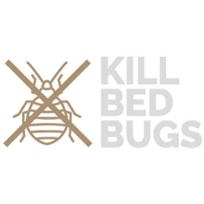 Kill Bed Bugs Dallas - Get Rid of Bed Bugs Yourself