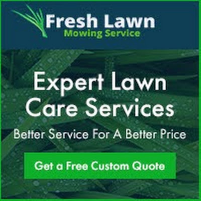 Small Business Fresh Lawn in Houston TX