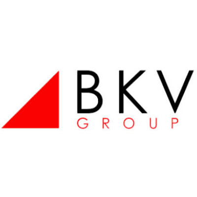 Small Business BKV Group in Dallas TX