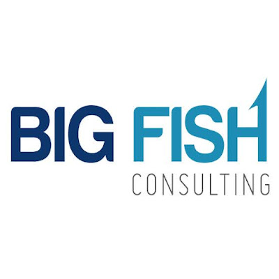 Small Business Big Fish Consulting in McKinney TX