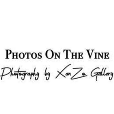 XanZo Gallery